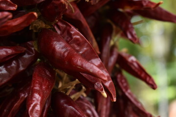 red chili peppers