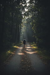 man in forest. hiking in the forest with a backpack