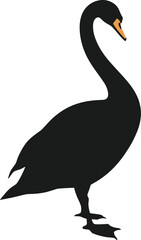 Vector art of elegant black swan illustration standing gracefully with its long neck in a simple vector design