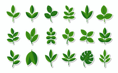 Naklejka premium Collection of Twenty Green Leaf Stickers Flat Vector Illustrations.