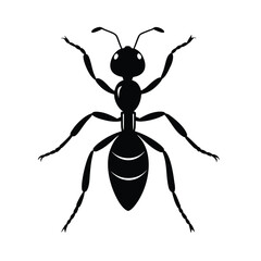 ant.eps