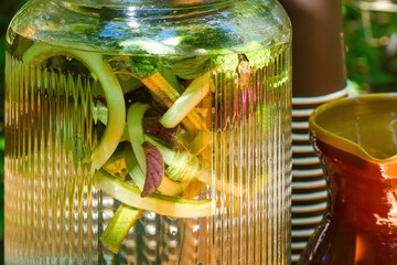 A close-up of a glass jar filled with water, herbs, and plant stems, infused under sunlight.