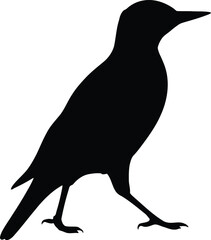 Vector art of silhouette of a black bird standing on the ground with a light background creating a simple and elegant design