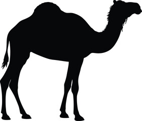 Vector art of silhouette of a camel standing tall in the desert a majestic and iconic representation of the arid landscapes