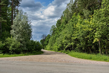 Forest Road Under Cloudy Sky