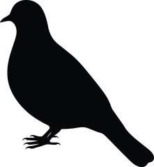 Vector art of silhouette of a bird standing still in black color perfect for logos and minimalist designs