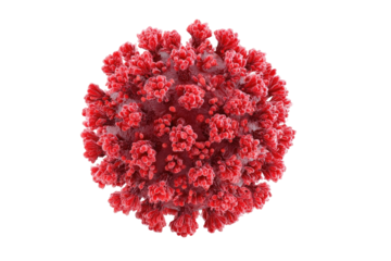 Close-up of a red, spherical virus.  Complex spiky surface