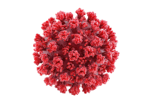 Close-up of a red, spherical virus.  Complex spiky surface