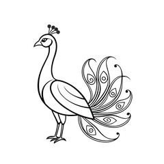 peacock vector illustration