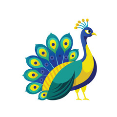 peacock on a with blue and green feathers standing on a white background art