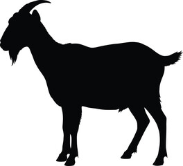 Vector art of silhouette of a goat standing in profile a farm animal with horns and a beard a vector illustration