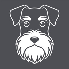 Adorable purebred miniature schnauzer puppy, black and white, sitting studio portrait