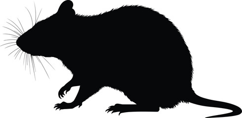 Vector art of silhouette of a rat against a plain background creating a simple yet striking image of the rodent