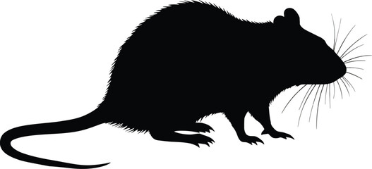 Vector art of silhouette of a rat with a long tail and whiskers standing on its hind legs looking alert and ready to scurry away