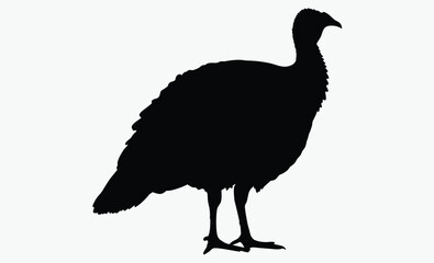 Turkey bird silhouette, wild fowl outline, poultry black vector, farm animal clipart