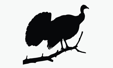 Turkey bird silhouette, wild fowl outline, poultry black vector, farm animal clipart
