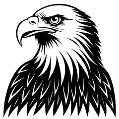 Closeup illustration of a fierce eagle head, isolated on white background