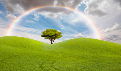 Beautiful landscape with green grass field and lone tree in the background amazing rainbow