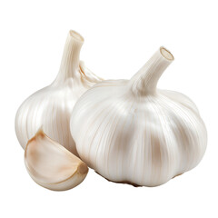 Fresh Garlic Bulb Isolated on Transparent Background. Whole Garlic Clove PNG Cutout.