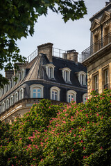 French Cityscape with typical Mansard Roofs, Balconies and Stone Facade, blooming Tree in Bordeaux,...