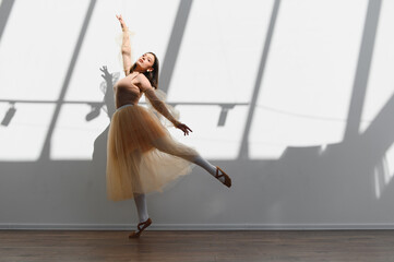 Ballerina dancing elegantly in sunlit studio with graceful movement