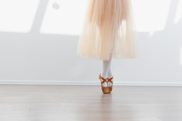 Ballerina girl practicing ballet in dance school wearing tutu and pointe shoes