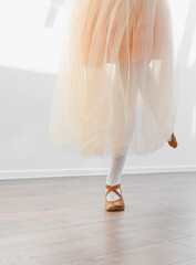 Ballerina girl practicing ballet in dance school © Serhii