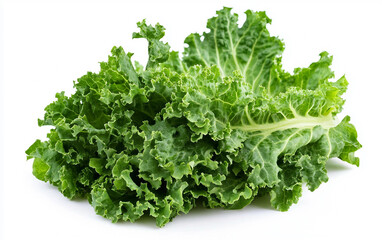 Fototapeta premium Fresh Green Leafy Vegetable Closeup.Isolated on white background