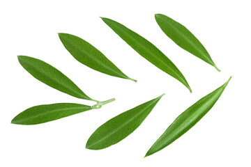 Naklejka premium Olive green leaves isolated on white background. Top view. Flat lay.
