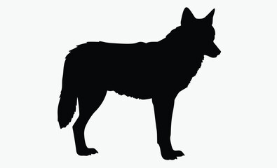 Wolf silhouette vector, Silhouette of a wolf vector illustration isolated on white background 