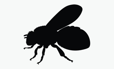 Bee silhouette, bee silhouette illustration isolated on a white background 