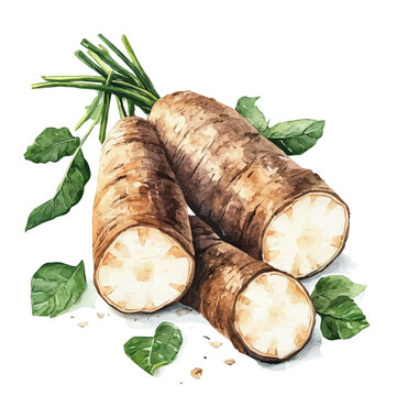 Cute Watercolor illustration of wild yam root, hand-crafted with delicate brush textures, minimal and isolated layout, white background, EPS format. illustration
