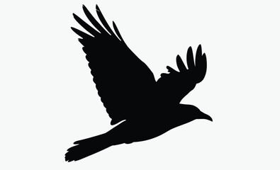 Crow silhouette bird, Vector, isolated black silhouette bird, crow collection 