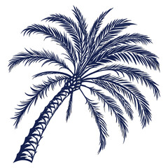 Obraz premium silhouette of palm tree
