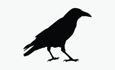 Crow silhouette bird, Vector, isolated black silhouette bird, crow collection 