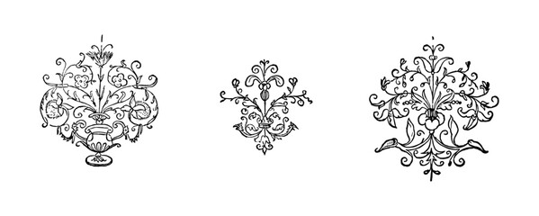 Vintage flourish ornament illustration art