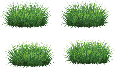 Realistic green grass bush set, detailed lawn foliage collection, isolated on white background, landscape element, nature garden design, cad drawing flat vector illustration