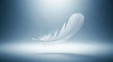 Obraz premium Delicate white feather floats gracefully in soft, ethereal light creating a serene and peaceful atmosphere