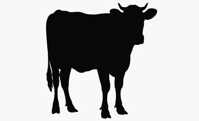 Cow silhouette, farm animal, livestock icon, Cow graphic icon, Cow black silhouette isolated on white background, Vector illustration 