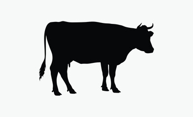 Cow silhouette, farm animal, livestock icon, Cow graphic icon, Cow black silhouette isolated on white background, Vector illustration 