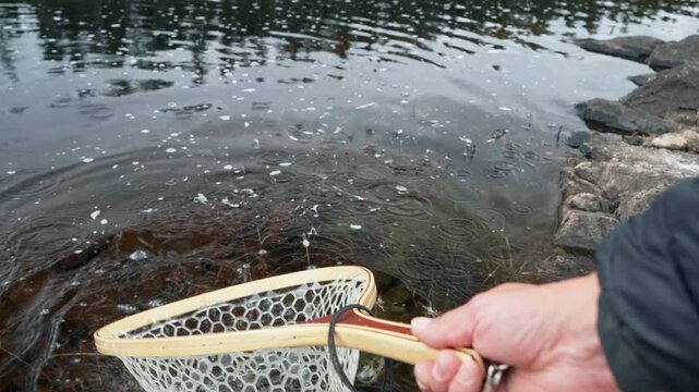 fisherman pulling a pickerel in from a freshwater lake on a granite shore, using a wooden fish net