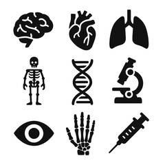 A collection of black silhouette icons representing human anatomy, biology, and medical science, including organs, skeleton, DNA, and research tools - human biology and anatomy.