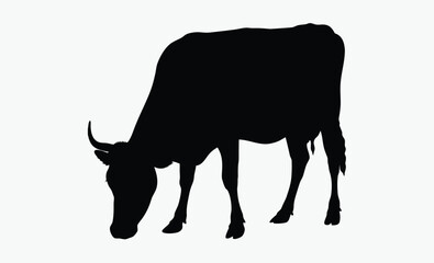 Cow silhouette, farm animal, livestock icon, Cow graphic icon, Cow black silhouette isolated on white background, Vector illustration 
