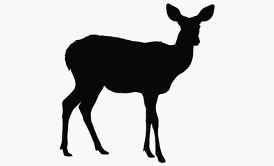 Elk silhouette, antler animal, forest wildlife, A vector silhouette of a large bull elk bugling