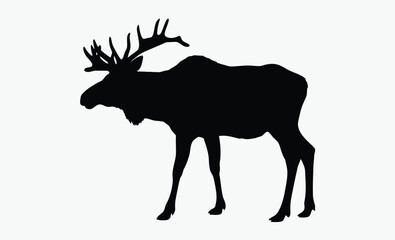 Elk silhouette, antler animal, forest wildlife, A vector silhouette of a large bull elk bugling