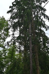 Fototapeta premium Technologieeinsatz in der Natur