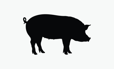 Pig silhouette, farm animal, livestock icon, Vector pig silhouette, Pig silhouette icon isolated on white background. 
