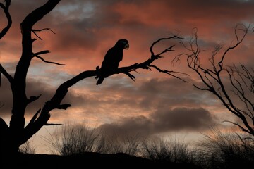 A parrot perched on a branch against a fiery sunset sky, rendered with stark contrast and silhouetted branches, moody landscape