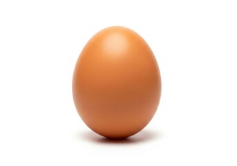 A single smooth brown chicken egg centered on a white oval food