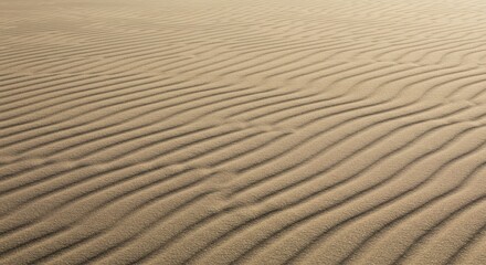 Obraz premium Sand Dune Texture: Abstract close-up captures the delicate texture and undulating patterns of wind-swept sand, embodying the timeless beauty of natural formations.